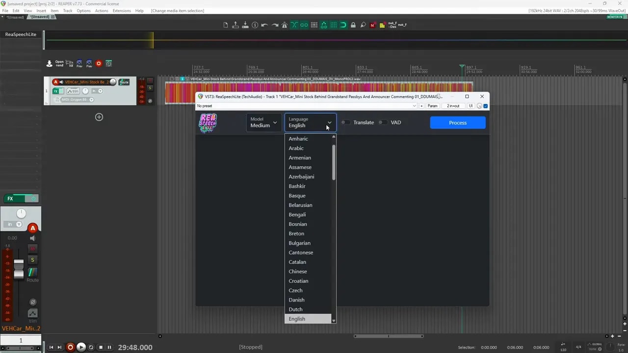 ReaSpeech Lite settings showing model options in a dropdown menu